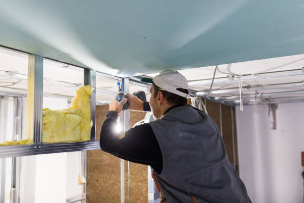 Best Garage Insulation Installation  in Morton, MS