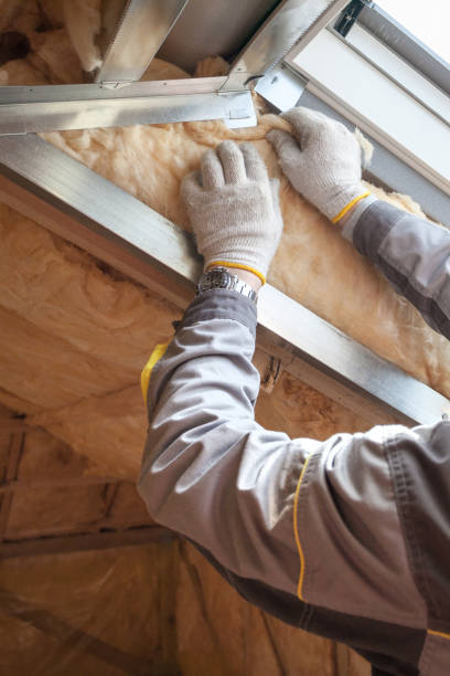 Professional Insulation Contractor in Morton, MS
