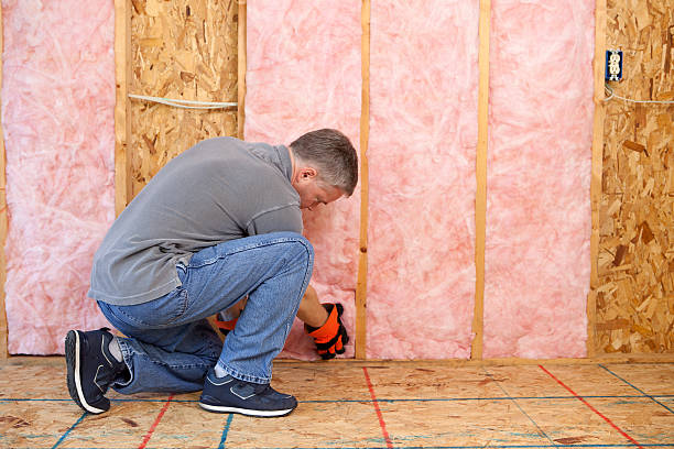 Best Wall Insulation Contractor  in Morton, MS