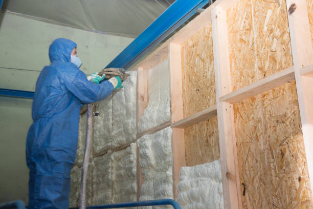 Best Crawl Space Insulation  in Morton, MS